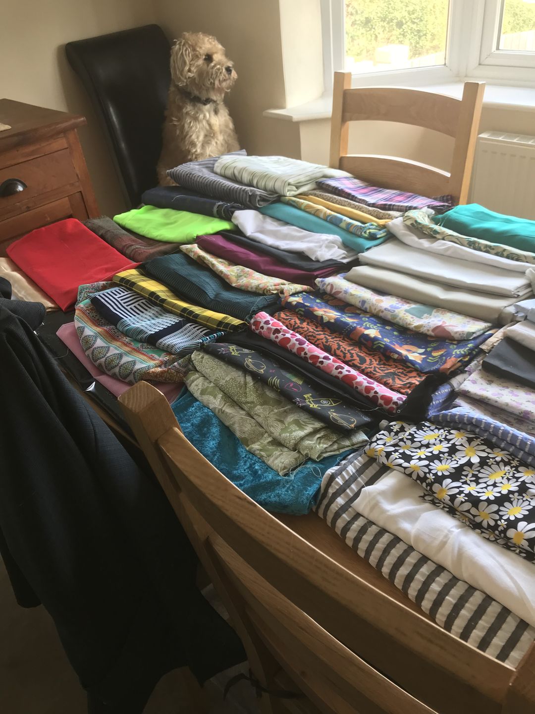 Customer photo review of Mystery Fabric Remnant Box