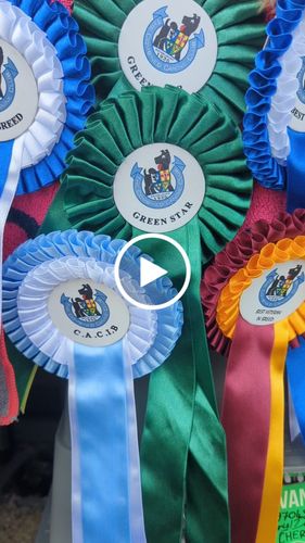 Customer video review of Microfibre towel