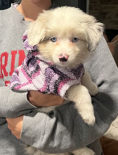 Customer photo review of Playa Poncho - Surprise Color