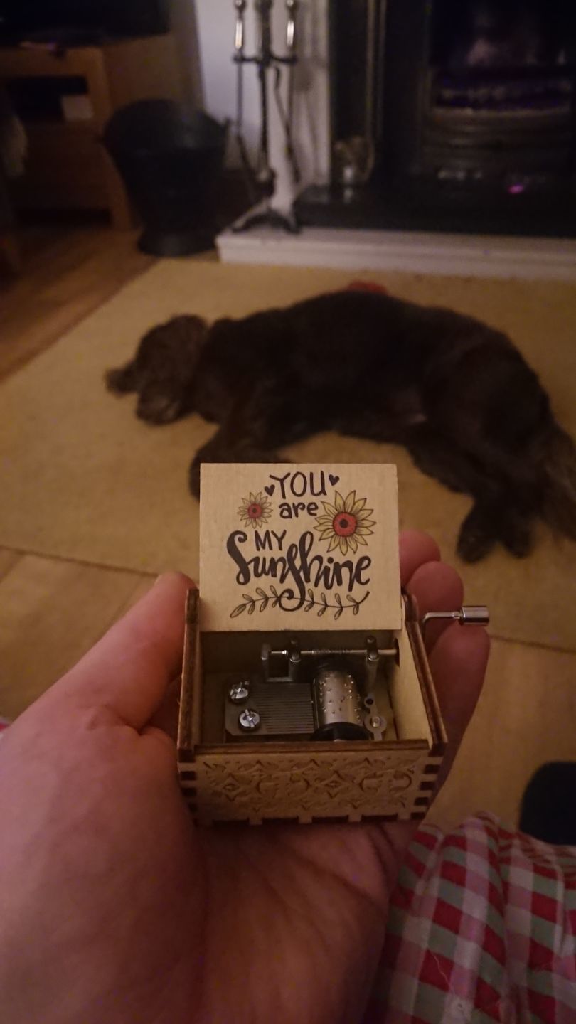 Customer photo review of You Are My Sunshine Musical Box