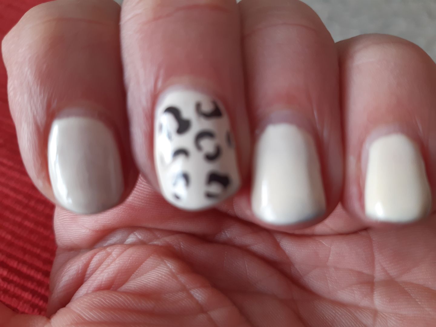 Customer photo review of Smalto Semipermanente LCI -  Crema