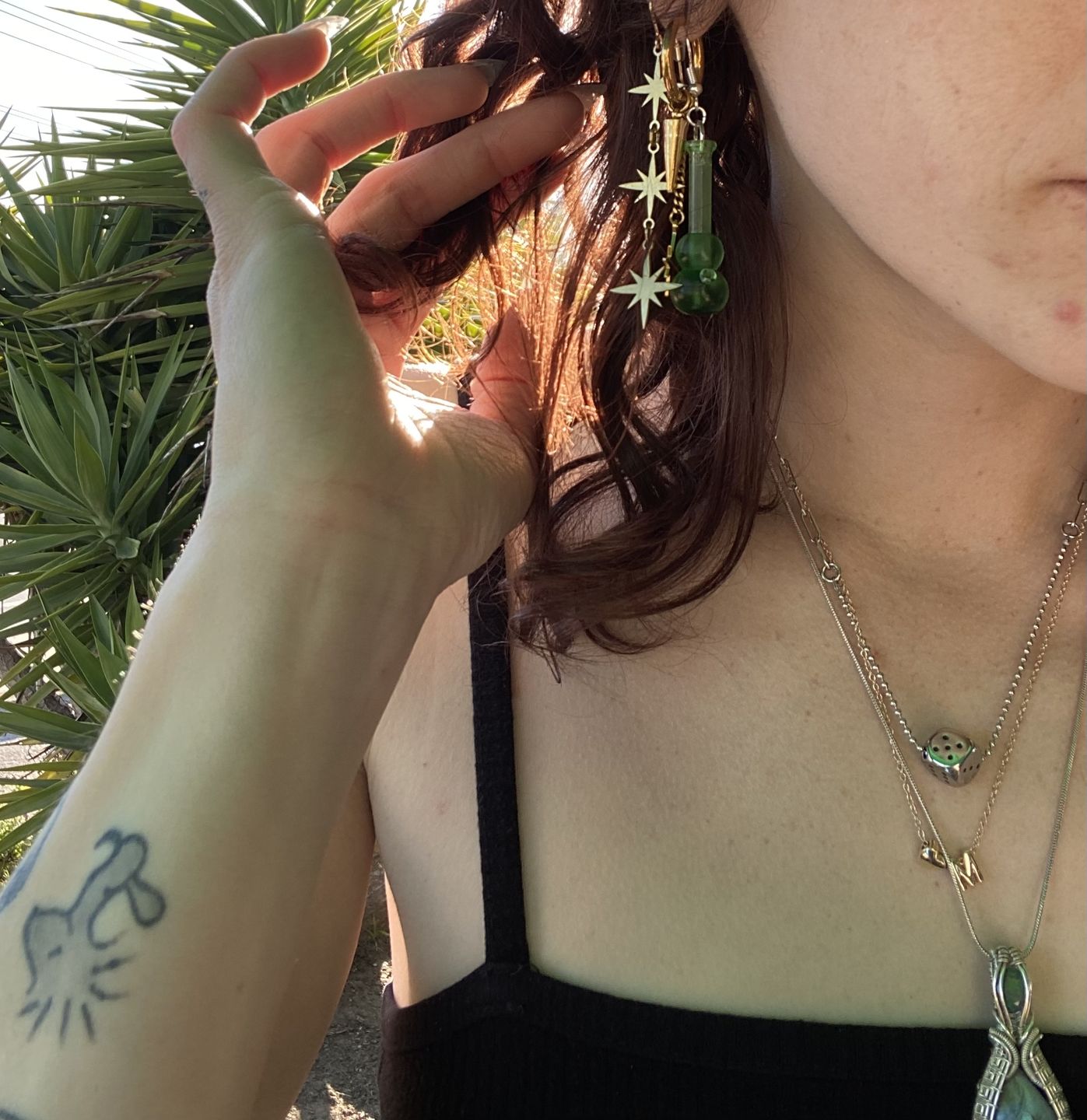 Customer photo review of Interchangeable Hoops
