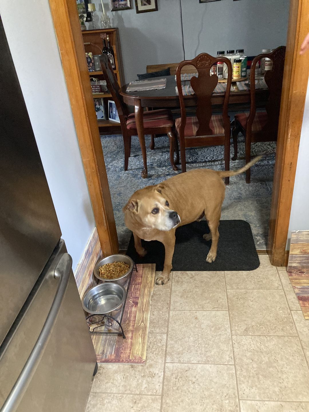 Customer photo review of Advanced Hip and Joint Supplement for Dogs With Glucosamine, Chondroitin, MSM, & Organic Turmeric - 120 Count