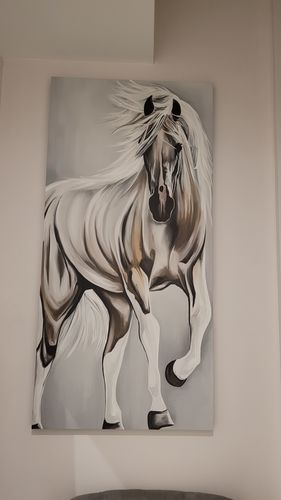 Customer photo review of 'Bold Horse' Framed Canvas