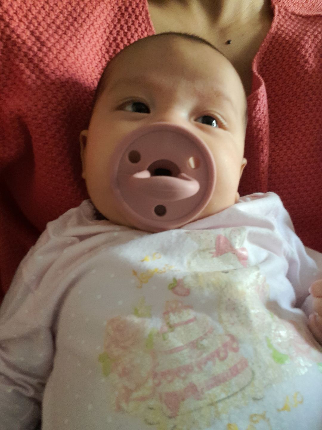 Customer photo review of Kit 2 Chupetes Rosa y Rosa Pálido Nenina & Co