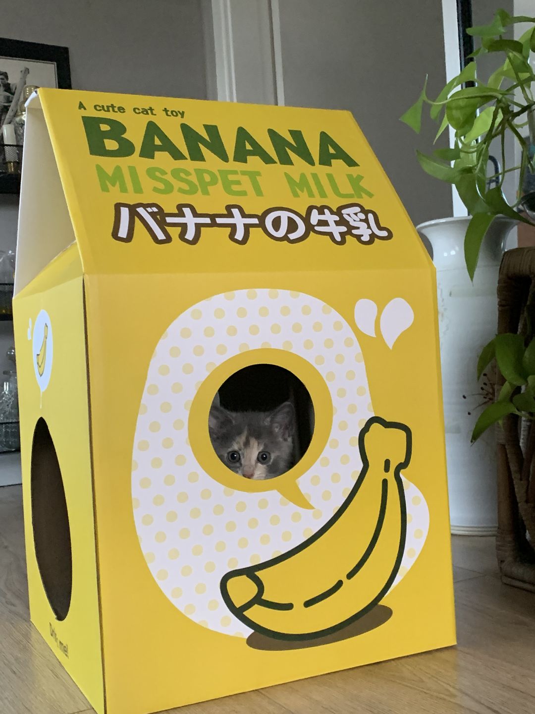 Customer photo review of Misspet Milk Box Cat Scratcher and Nest