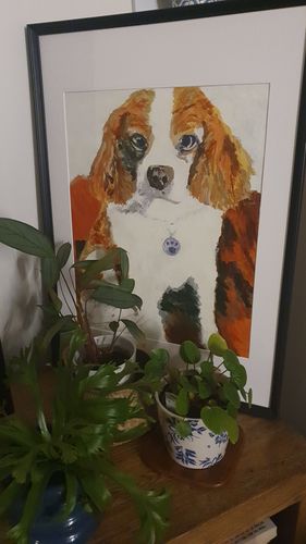 Customer photo review of Custom Paint By Numbers