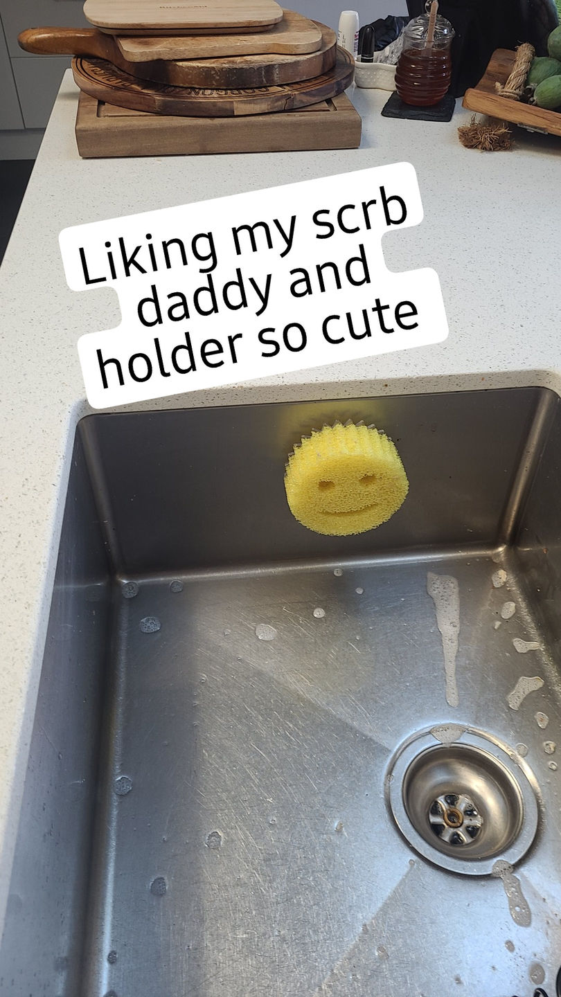 Customer photo review of Scrub Daddy Caddy