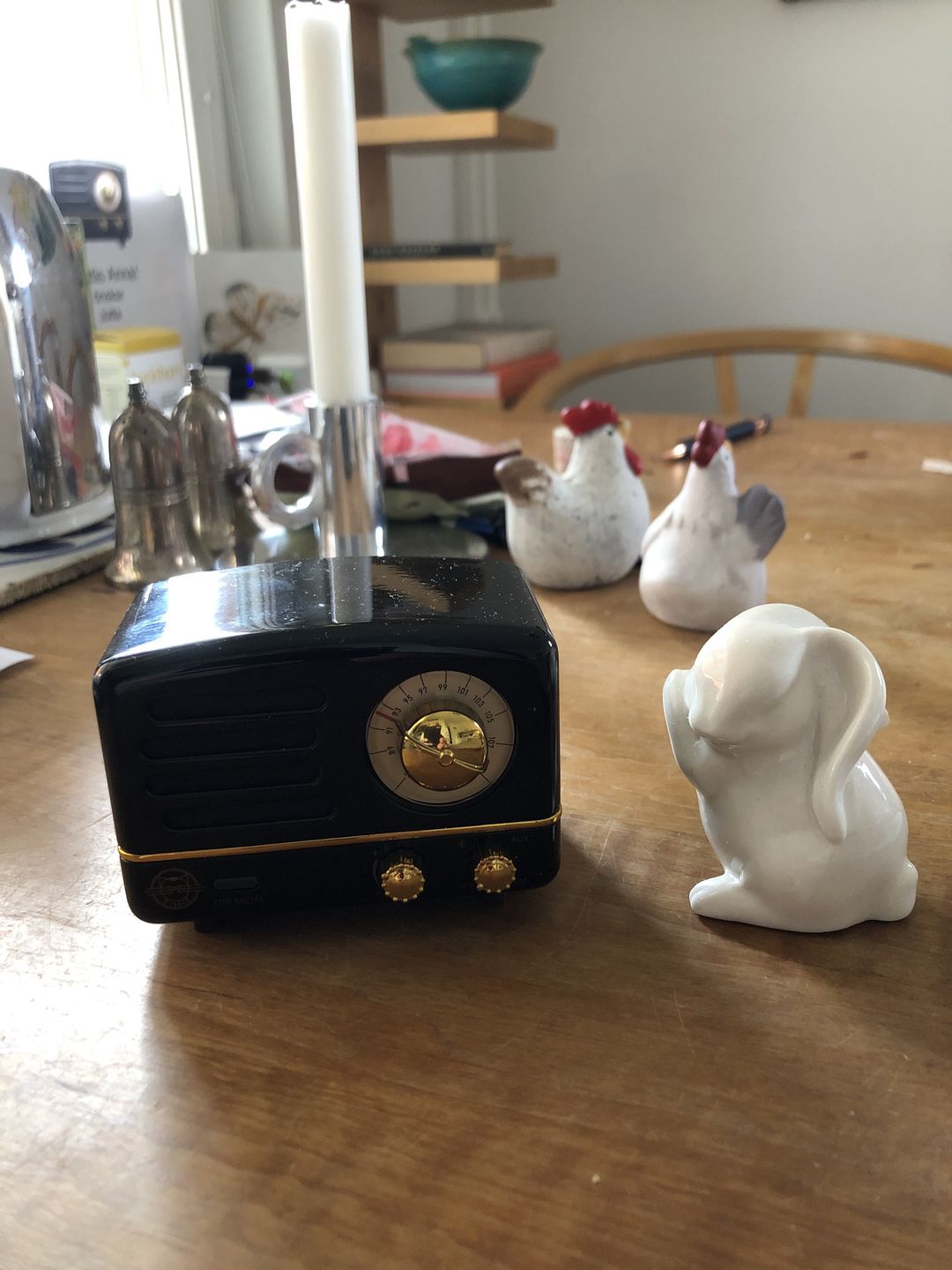 Customer photo review of MUZEN OTR Metal Wireless Portable FM Radio Bluetooth Speaker