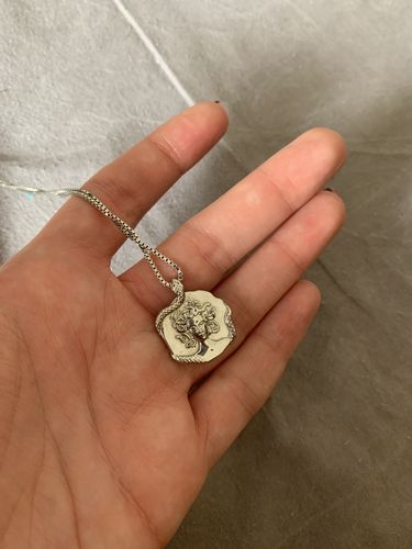 Customer photo review of Medusa Necklace (Silver)