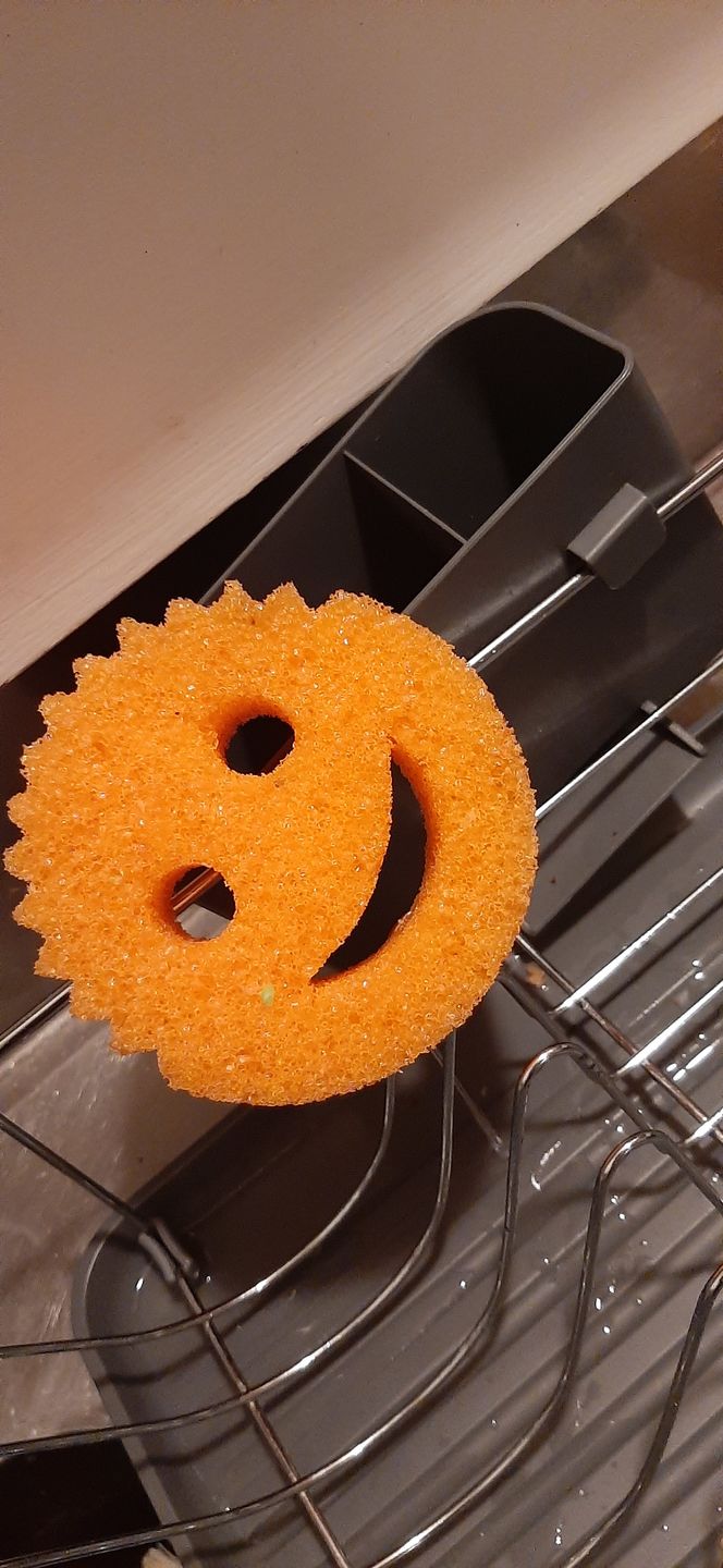 Customer photo review of Scrub Daddy Family (6 Pack)