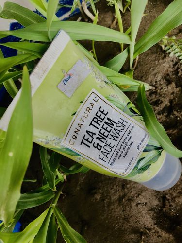 Customer photo review of Tea Tree & Neem Face Wash