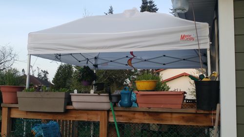 Customer photo review of MASTERCANOPY Replacement Pop Up Canopy Top