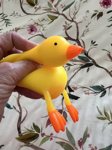 Customer photo review of Flappy the Squishy Duck