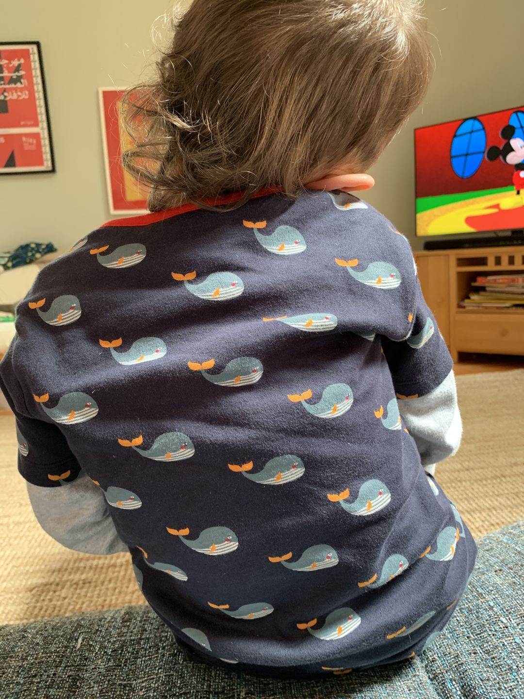 Customer photo review of Whale Song Short Sleeve Henley Top