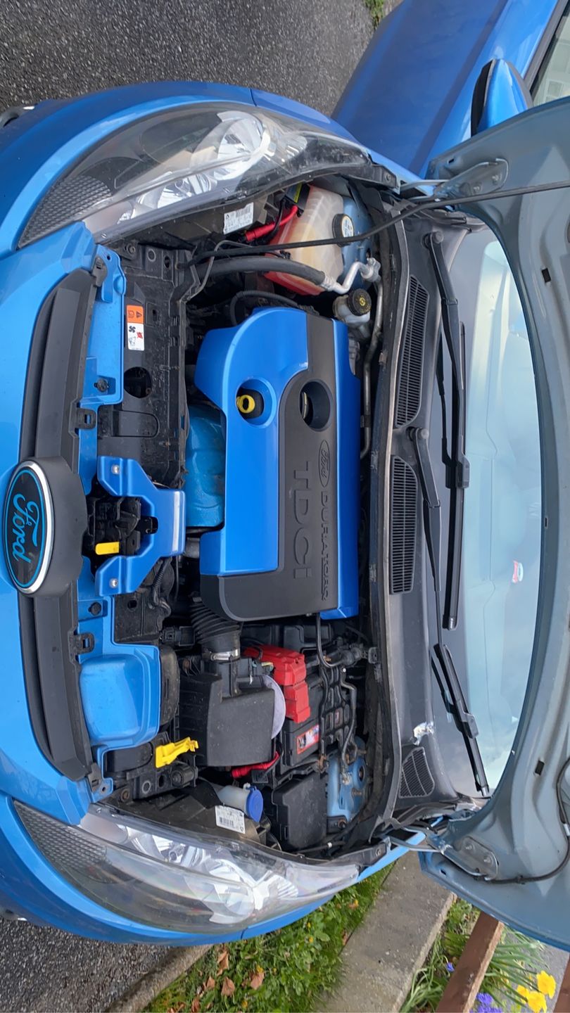Customer photo review of Proform Bonnet Catch Plate Cover (various colours) - MK7.5 Fiesta