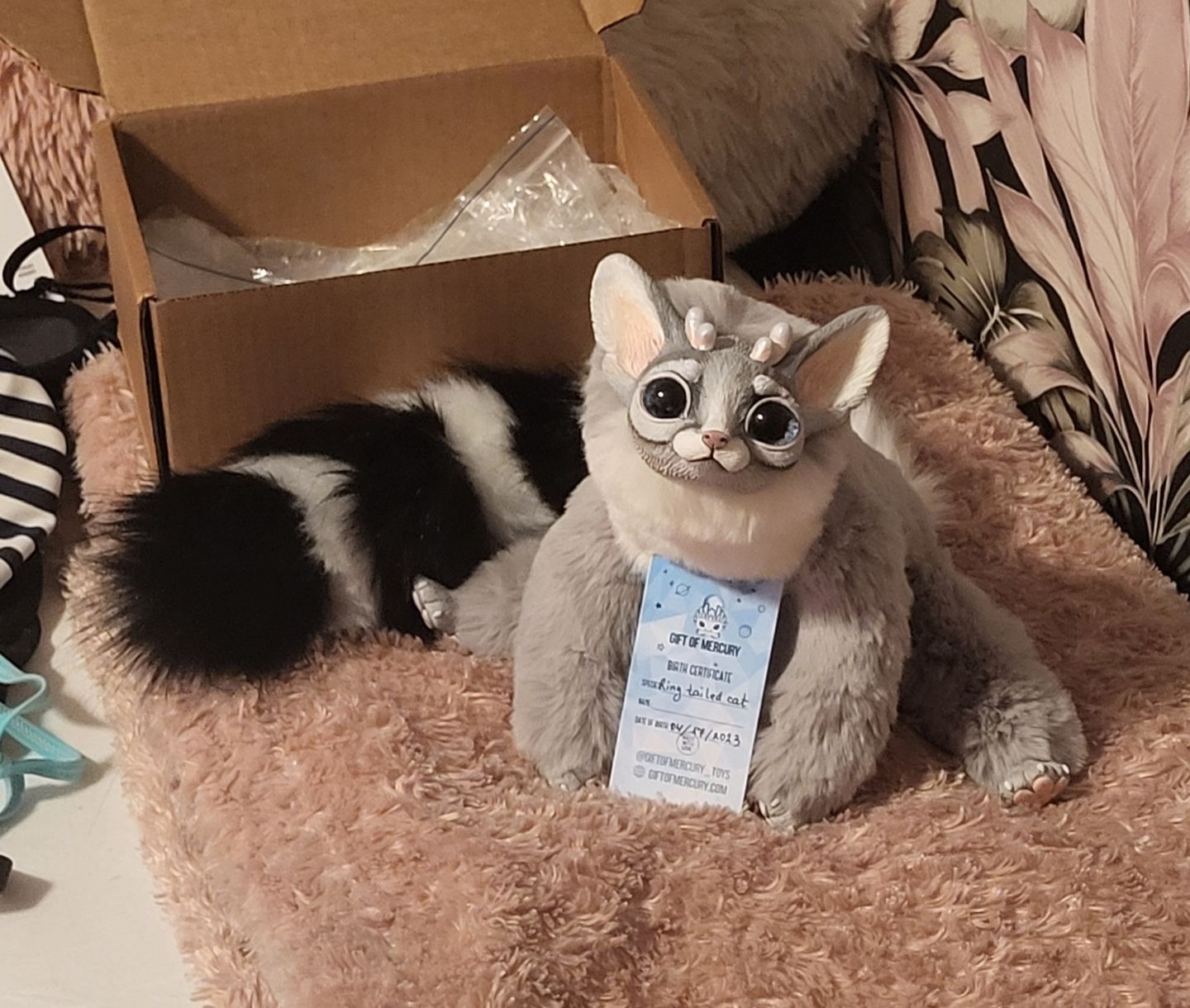 Customer photo review of Ring-tailed cat