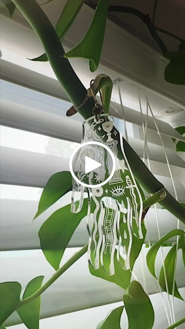 Customer video review of Capsule Vestigium Earrings