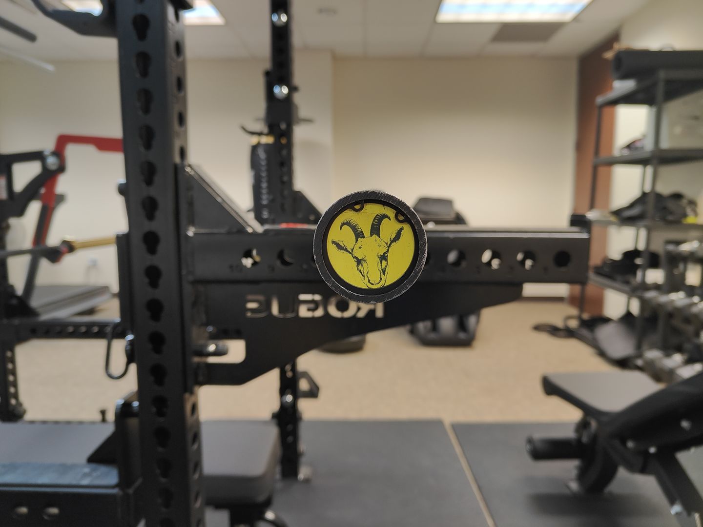 Customer photo review of The Goat Barbell End Caps
