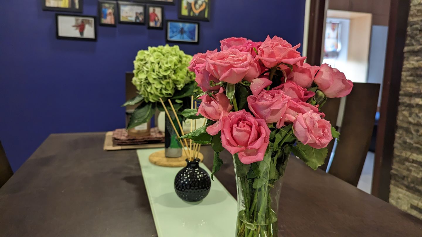 Customer photo review of Roses