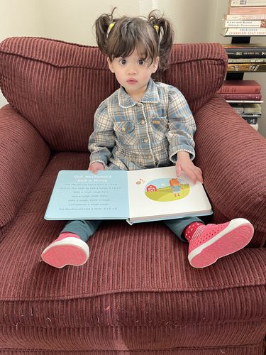 Customer photo review of Baby Shark Nursery Rhymes