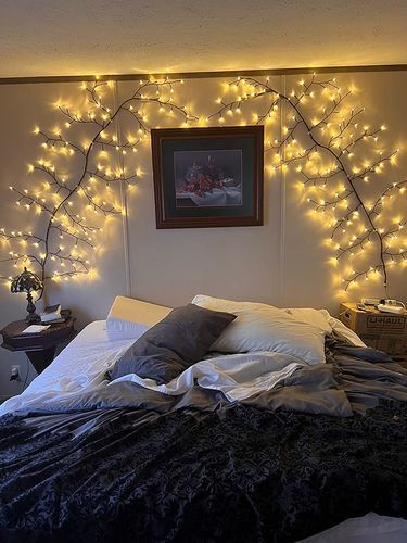 Customer photo review of Enchanted Willow Vine — LitLamp™