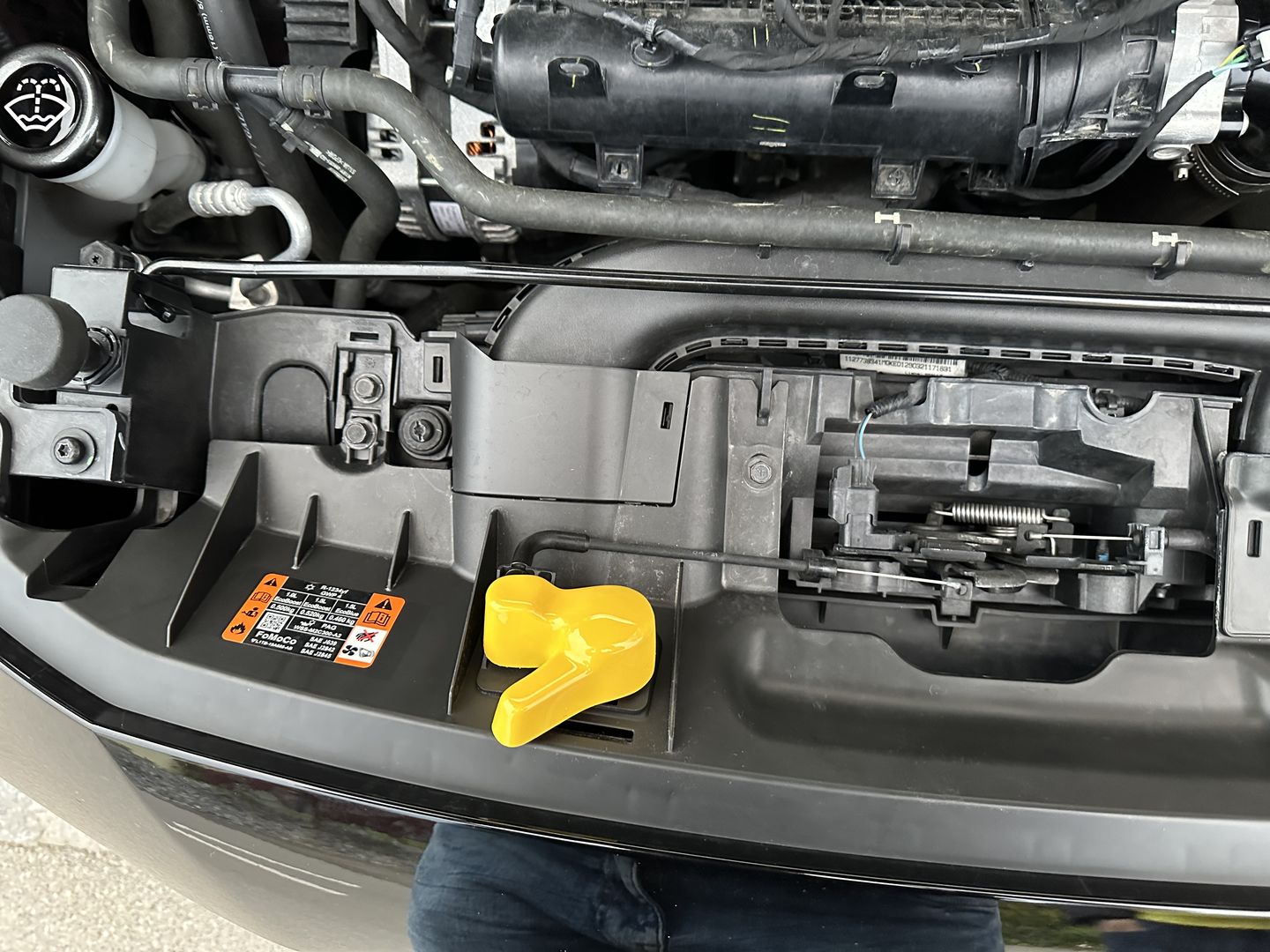 Customer photo review of Proform Bonnet Catch Cover (various colours) - MK3 / 3.5 Focus & Mk2 Puma