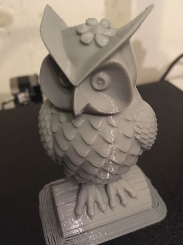 Customer photo review of Anycubic Kobra Neo