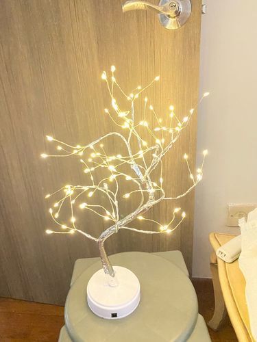 Customer photo review of Fairy Light Spirit Tree - LitLamp™
