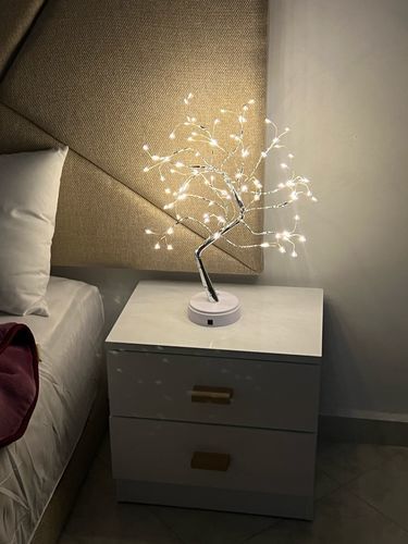 Customer photo review of Fairy Light Spirit Tree - LitLamp™