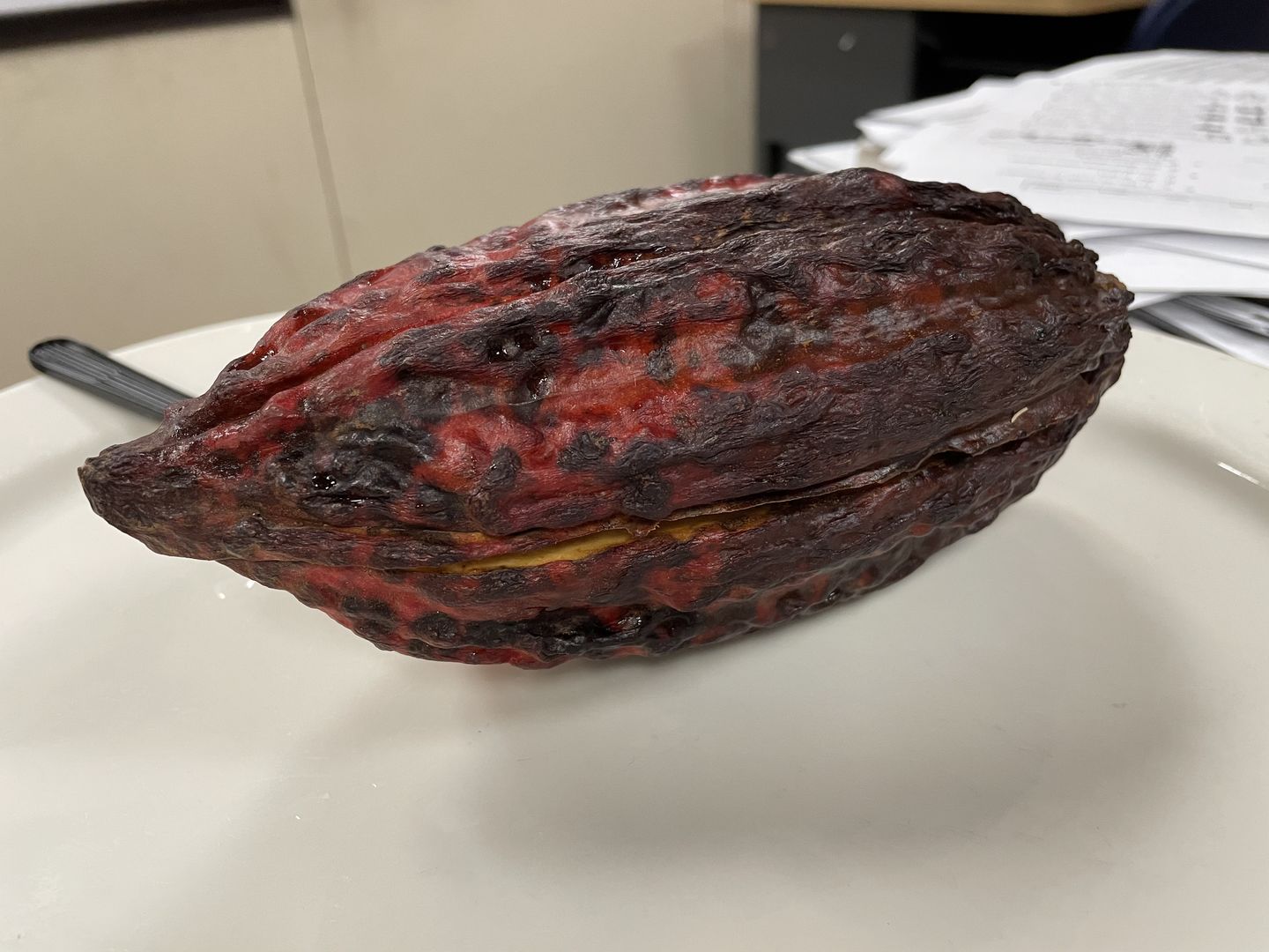 Customer photo review of Cacao (Chocolate) Box