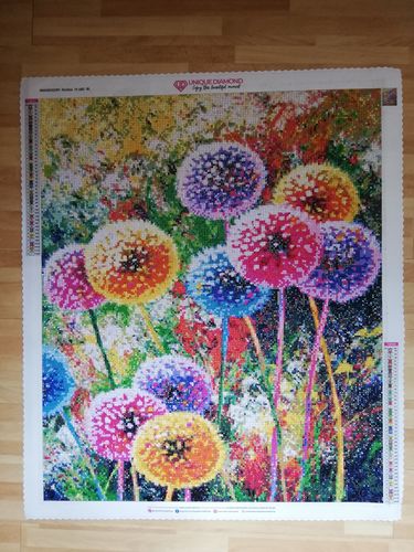 Customer photo review of 5D Diamond Painting AB Steine Farbige Pusteblumen
