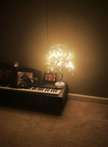 Customer photo review of Fairy Light Spirit Tree - LitLamp™