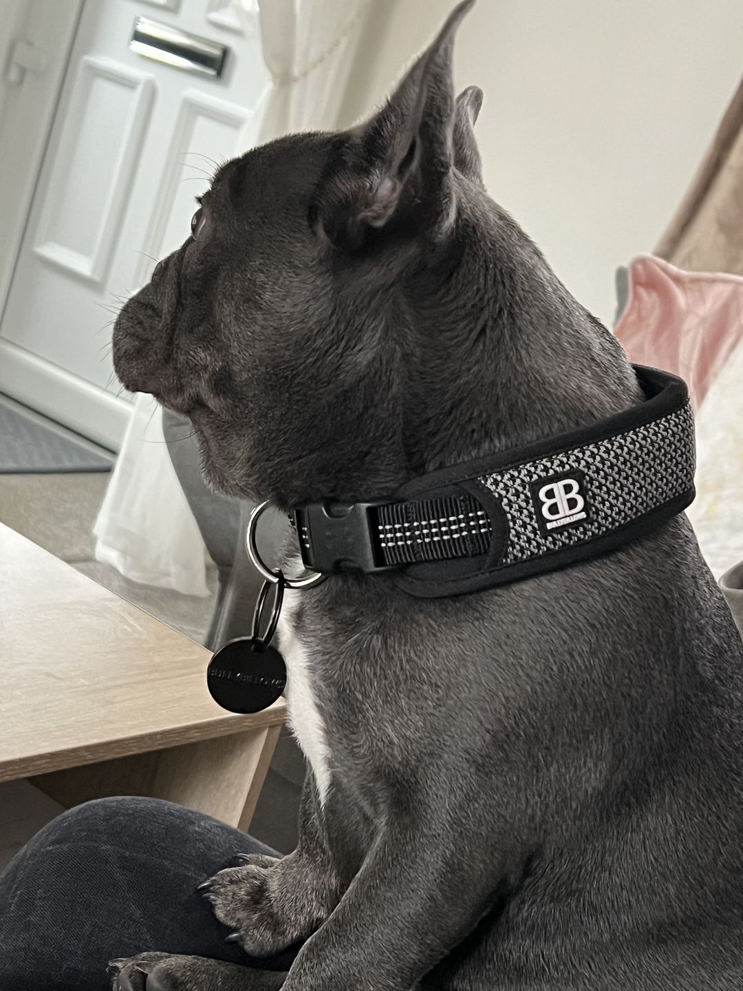 Customer photo review of ID Dog Tag - Black (With Gift Box)