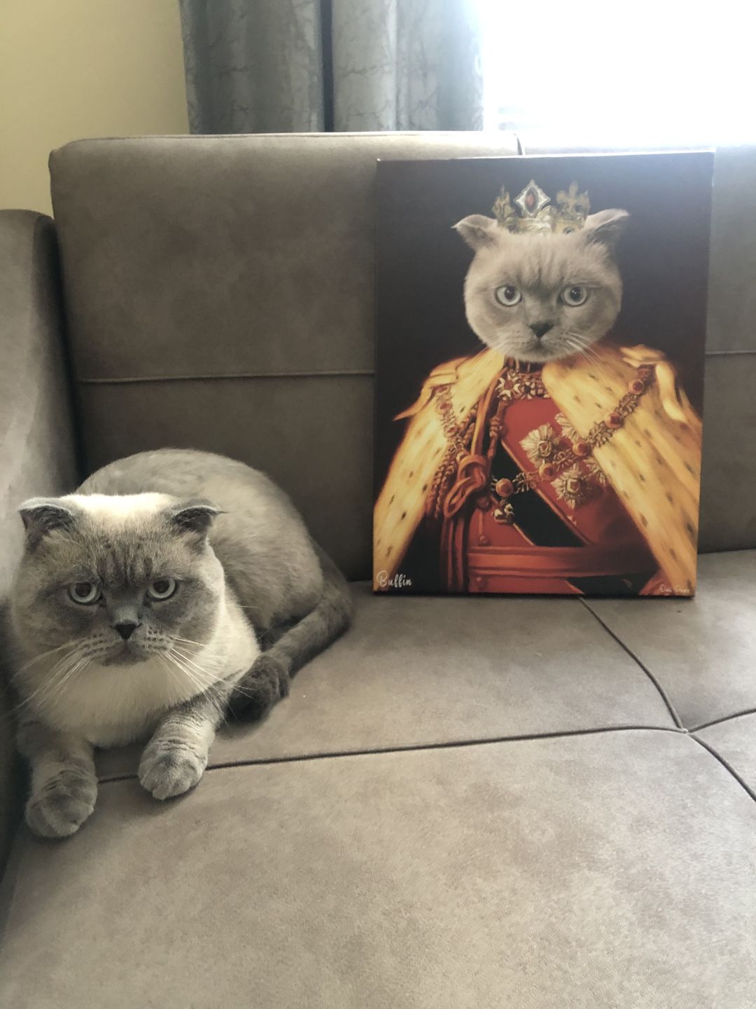 Customer photo review of The King of the Seven Kingdoms