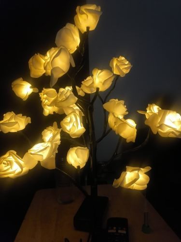 Customer photo review of Charming Rose Tree — LITLAMP™