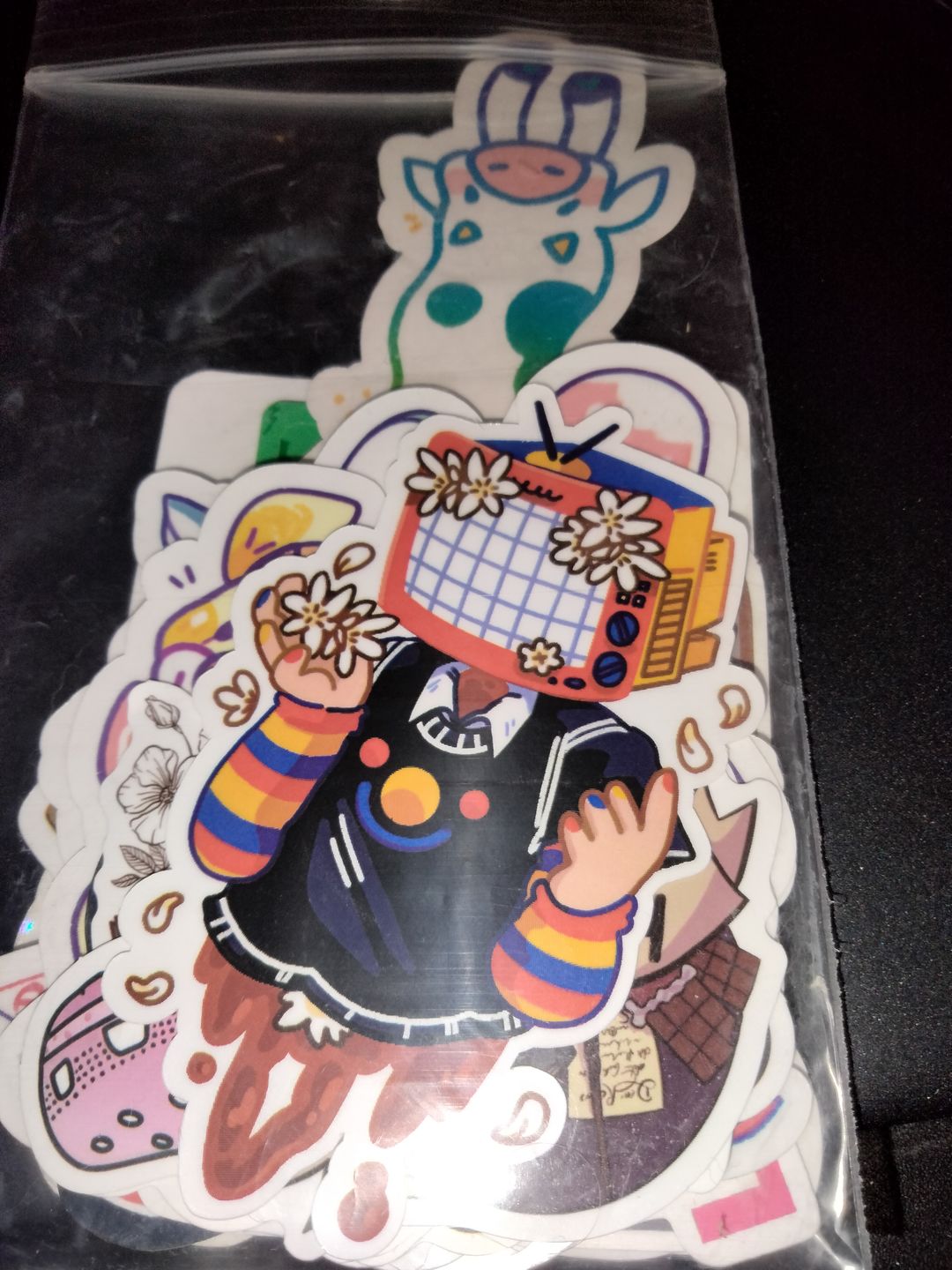 Customer photo review of TV Head Gore Stickers