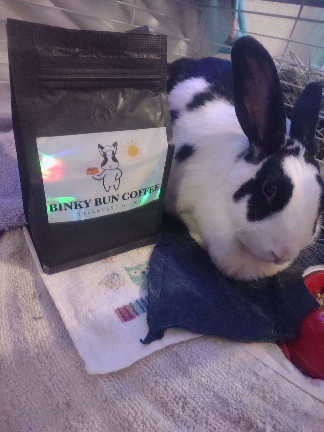 Customer photo review of Breakfast Blend (Ground)