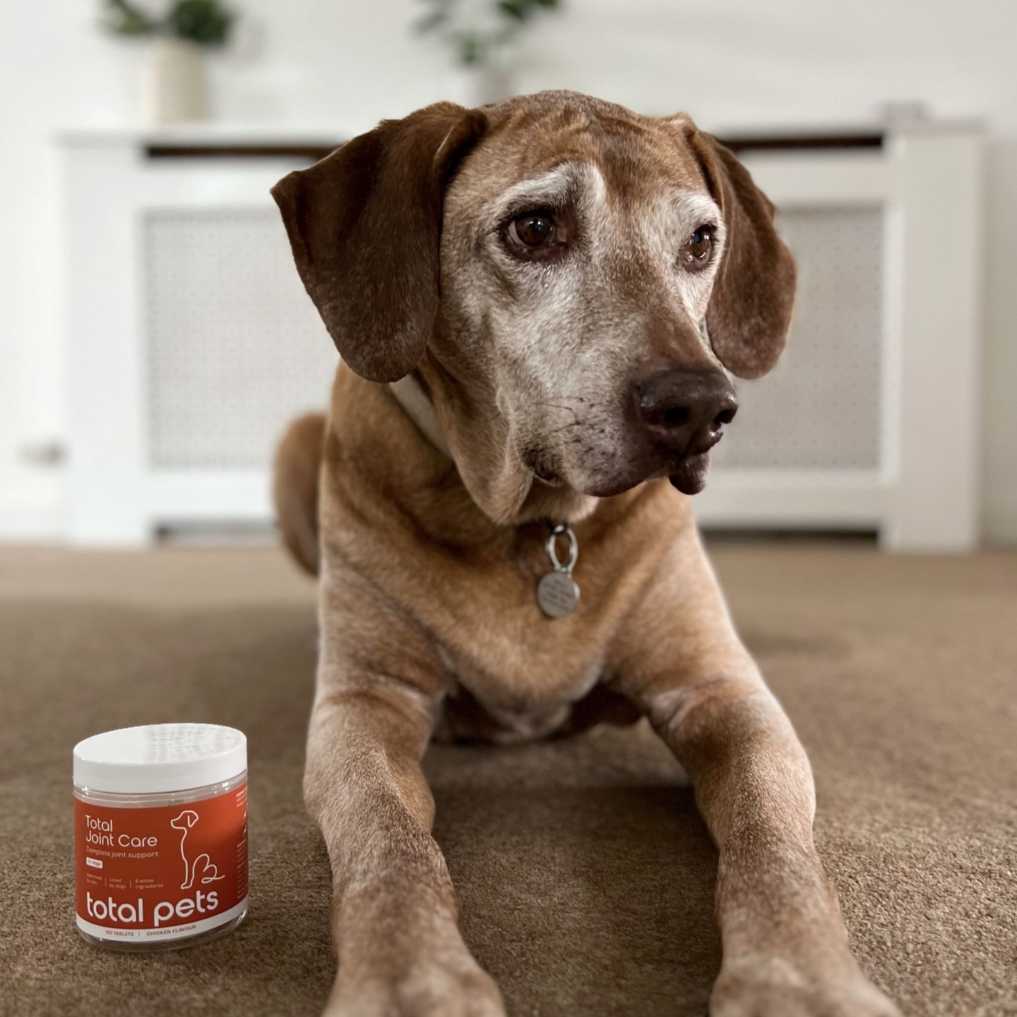 Customer photo review of Total Joint Care Supplement For Dogs