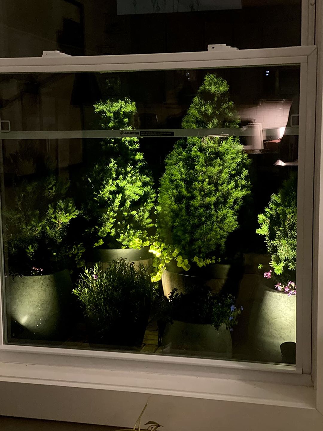 Customer photo review of TSUN Warm White Solar Spot Lights with Separate