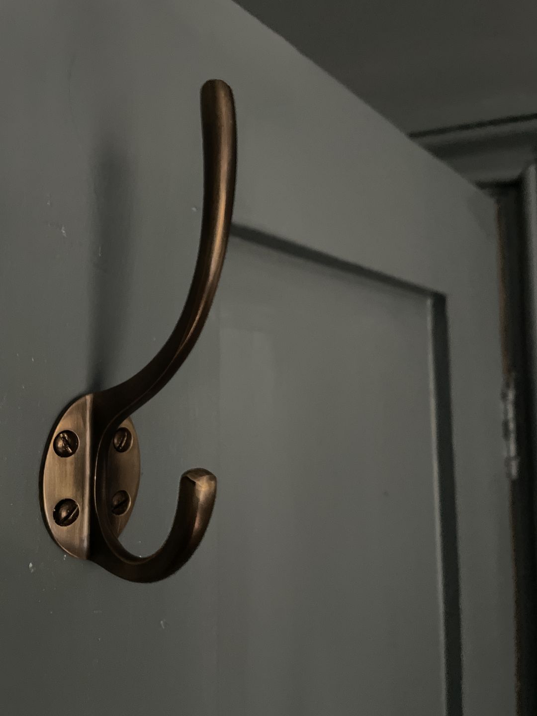 Customer photo review of Classic Brass Hat & Coat Hook