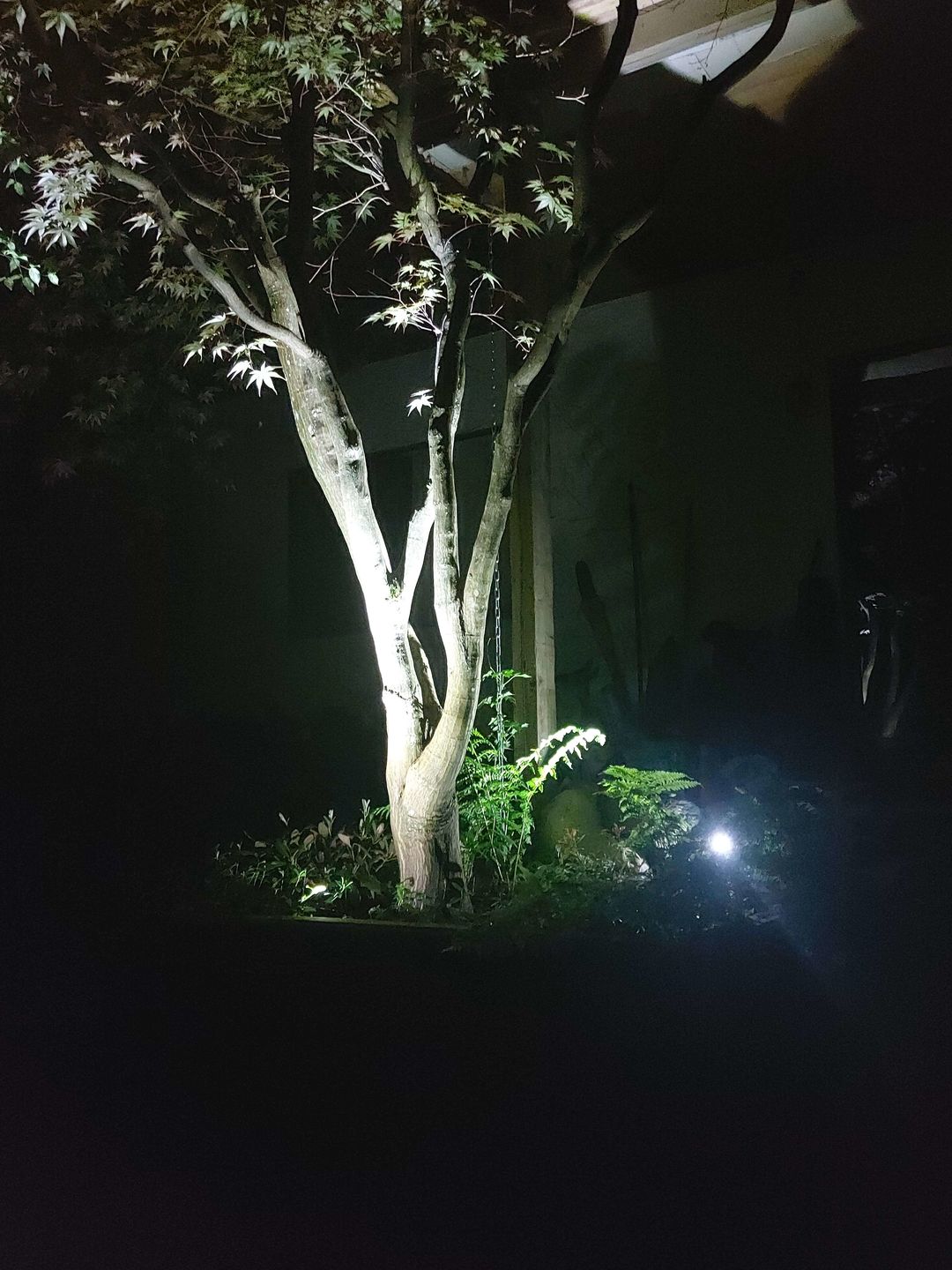 Customer photo review of TSUN Solar Spotlights For Trees Cool White