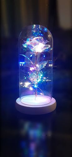 Customer photo review of Galaxy Rose Flowers — LITLAMP™