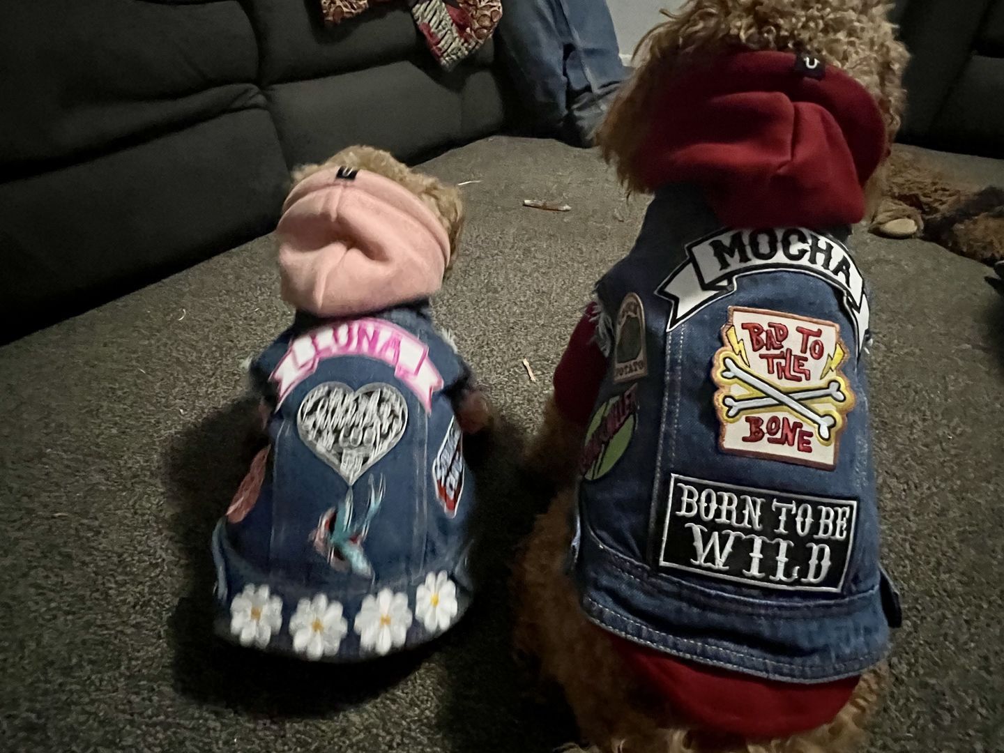 Customer photo review of Denim Dog Vest Raw Blue - Unpatched