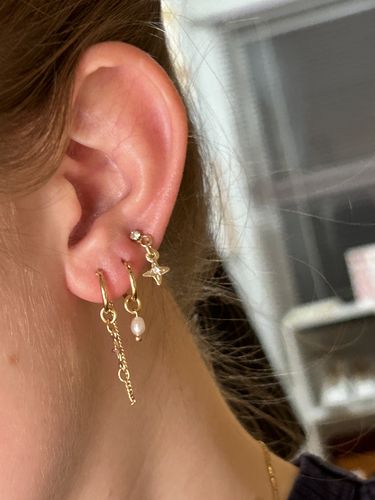 Customer photo review of Taylor Earring Set