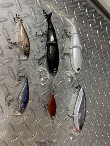 Customer photo review of Headbanger Cranky Shad 3"