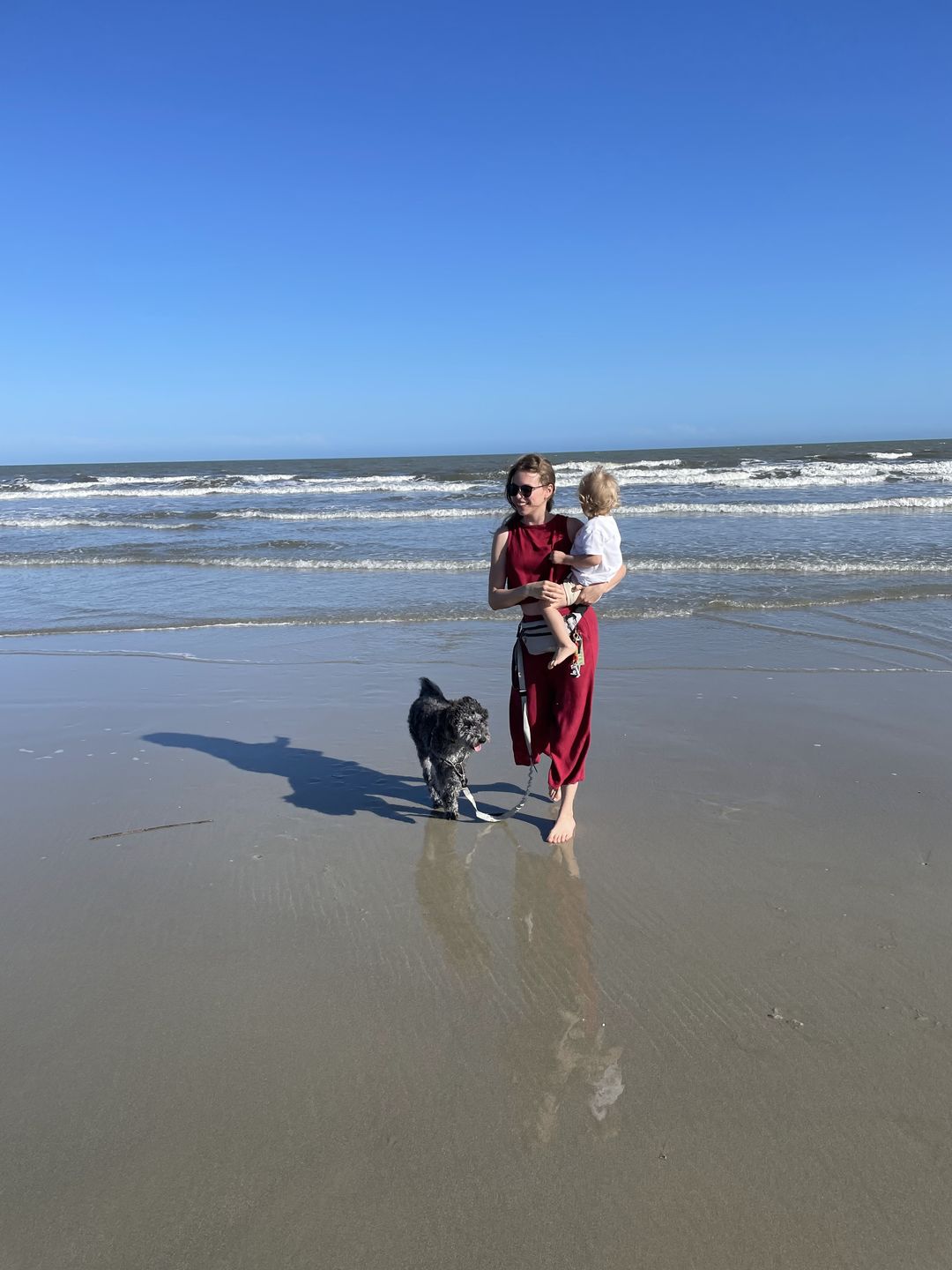 Customer photo review of Voyager Bungee Leash