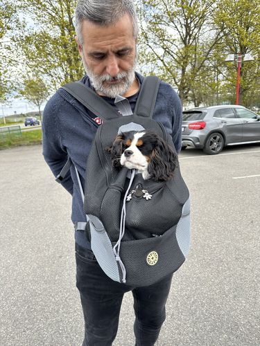 Customer photo review of Tragetasche für Haustiere