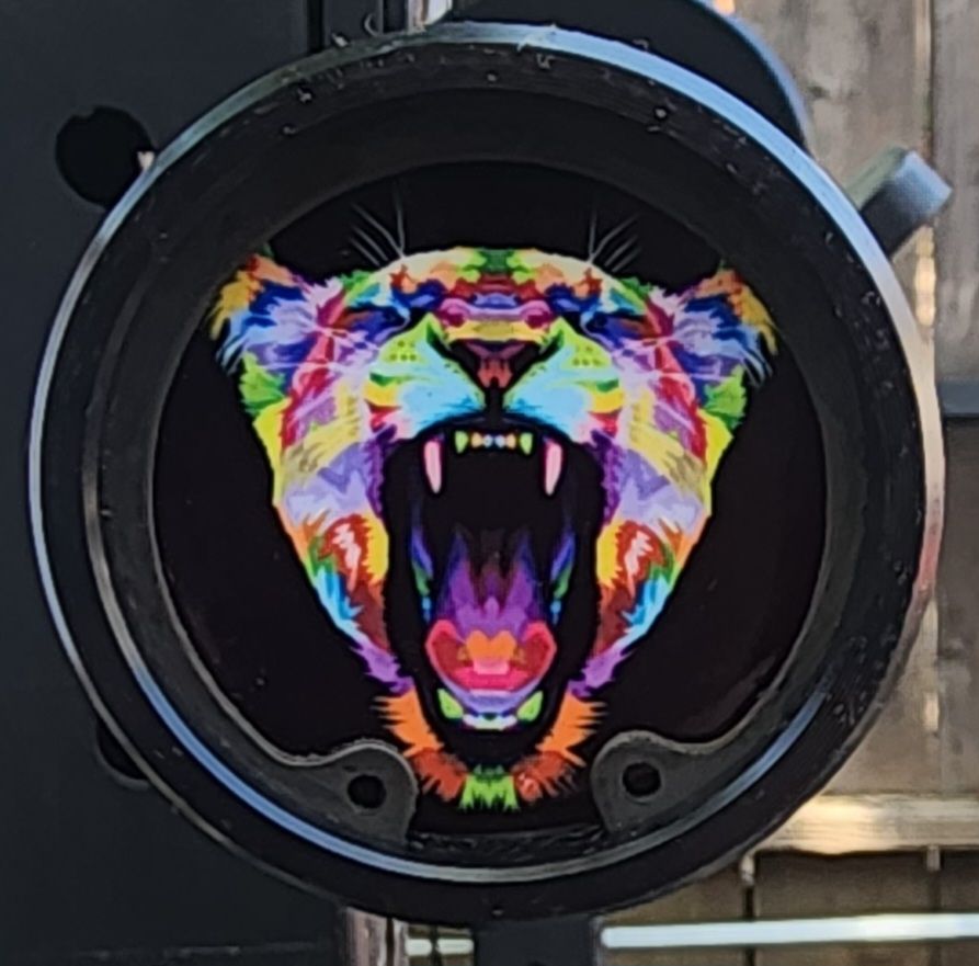 Customer photo review of The Lioness  Spirit Barbell End Caps