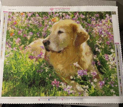 Customer photo review of Diamond Painting Eigenes Foto